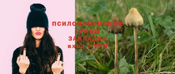 сатива Алзамай