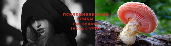 сатива Алзамай