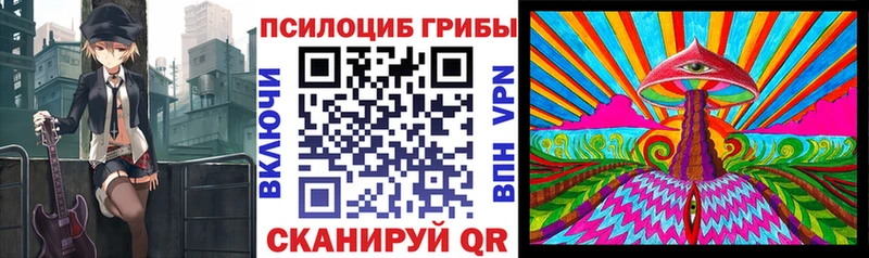 купить Солнечногорск Галлюциногенные грибы прущие грибы